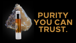 The Best THC Vape Carts for Clean, Elevated Enjoyment