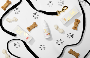 Pet Wellness: How Carbon Cannabis Full Spectrum Pet CBD Can Enhance Your Pet's Health