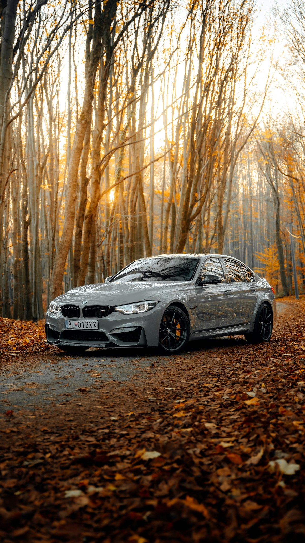 BMW M3 · reference photography