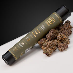 pre roll tube on top of cannabis nugs