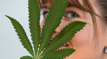 How Cannabis Can Support Focus, Regulation & Nervous System Balance