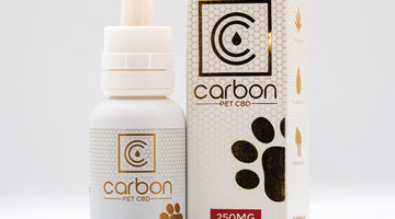 Pet CBD Dosing: Breed Size, Flavors & Practical Tips