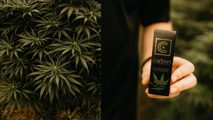 THC + CBD