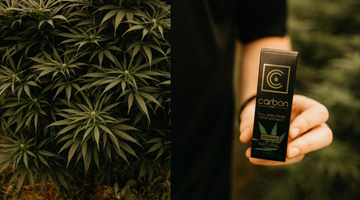 THC + CBD