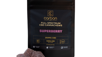 Hemp Edibles 101: Everything You Need to Know