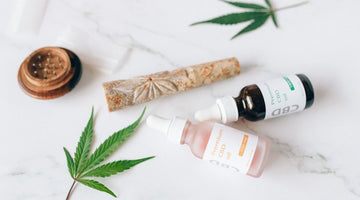 CBD Vape vs Tincture: Onset, Duration, Routine Fit