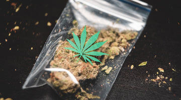 Bag of cannabis flower