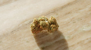 THC Ice Pops: Your Guide to Cool, Stable Summer Treats