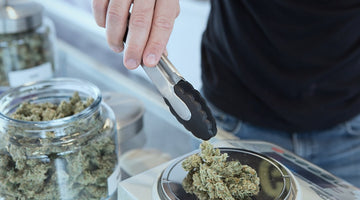 11-Hydroxy-THC Explained: Why Edibles Feel Stronger
