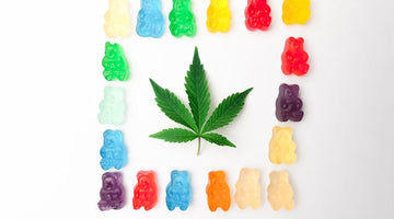 Why Edibles Hit Harder Some Days: Food, Sleep & Stress
