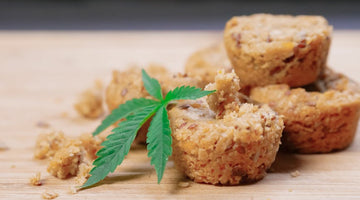 Morning After an Edible: 8 Ways to Beat the Weed Hangover