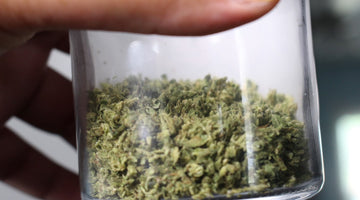 THC Drink Food Pairing: Elevate Your Dinner Parties