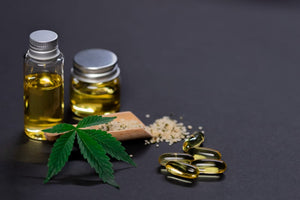 Is CBD Safe for Dogs? How to Choose Quality Pet Hemp