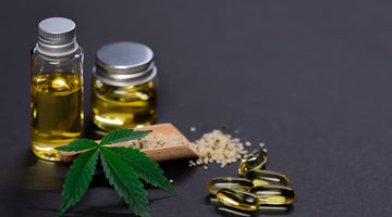 Is CBD Safe for Dogs? How to Choose Quality Pet Hemp