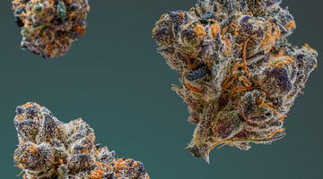 Is Hemp the New Superfood? Top Nutritional Benefits Revealed