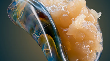 How to Tell If Live Rosin Is Good Quality Fast
