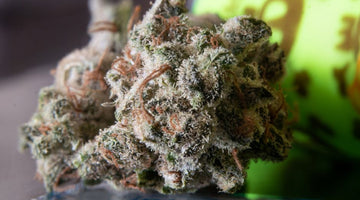 Mycotoxin Testing in Hemp Flower: The Microbial Safety Tests That Matter