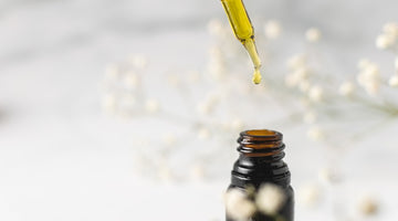 CBD Balm Ingredients Explained: Guide to Botanicals & Sensitivity