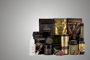 Top Hemp Trends of 2025: What’s Hot in the Cannabis Market