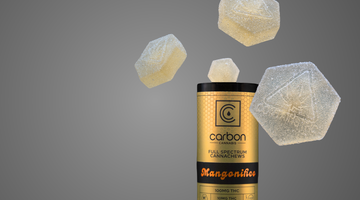 THC Hemp Edibles 101: Your Fun Beginner’s Guide