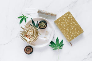 Cannabis leaves with grinder and papers display