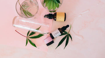 CBD oil bottles and hemp leaves flatlay