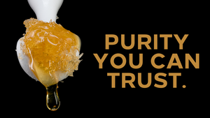 How Water Activity & Fresh-Frozen Unlock Live Rosin Flavor