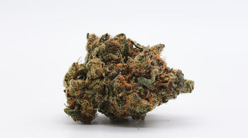 THC Microdosing: Mindful Hemp Wellness for Modern Living