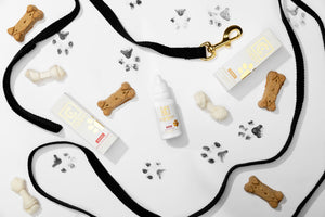 Pet CBD Dosing Mistakes: Simple Fixes for Your Furry Friend