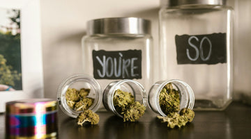 Cannabis jars on display shelf