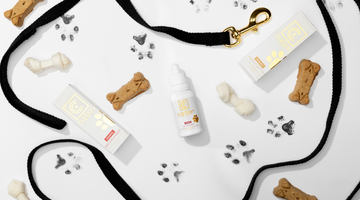 Pet Wellness: How Carbon Cannabis Full Spectrum Pet CBD Can Enhance Your Pet's Health