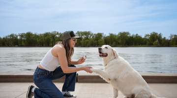 Keep Your Pets Calm and Comfortable This Season with Carbon Pet Hemp Extracts