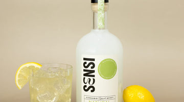 Bar Cart Upgrade: THC Seltzers & CannaSyrup in Cocktails