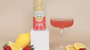THC Seltzer Pairings: Game Day, Brunch & BBQ Food Matches