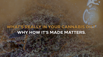 710 Day: What's Really in Your Cannabis Oil? Why How It's Made Matters