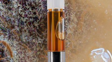 THCA Live Rosin Vape Carts: The Complete Beginner-to-Connoisseur Guide