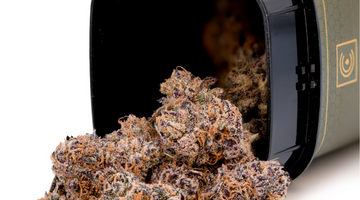 How Hemp-Derived THC Became a Wellness Game-Changer