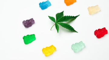 Gummy bears circling a cannabis leaf