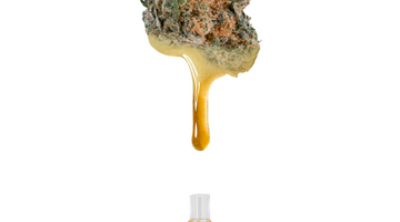 Live Rosin vs Distillate: Which Vape Cart Wins on Flavor?