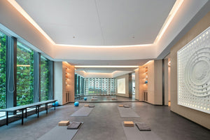 Modern yoga studio with mats and exercise balls