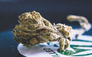 How Long Does THC Stay in Your System? By Format