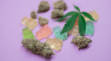Weed buds, gummies, and cannabis leaf on purple