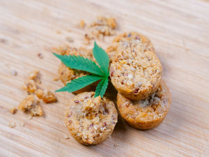 Edibles Empty Stomach vs With Food: Timing Guide
