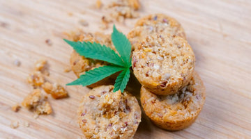 Edibles Empty Stomach vs With Food: Timing Guide