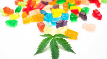 Colorful gummy bears with cannabis leaf foreground