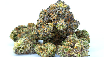 THCa Flower: Legal Status, Effects, and Quality Tips