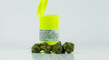 Yellow container with cannabis buds labeled medical cannabis