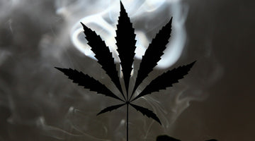 Cannabis leaf silhouette with swirling smoke