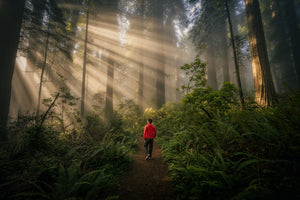 Person in red jacket walking forest trail