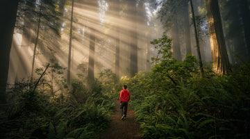 Person in red jacket walking forest trail